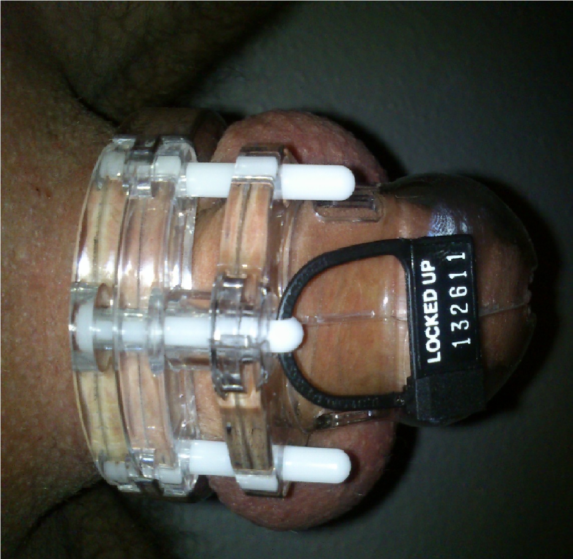 chastity with lock 21-9-2012.jpg