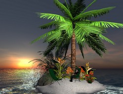 my_island.jpg