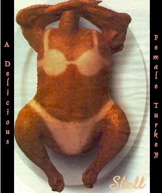 shell_turkey.jpg