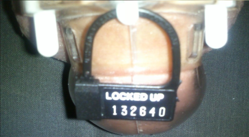 chastity with lock 19-11-2012.jpg