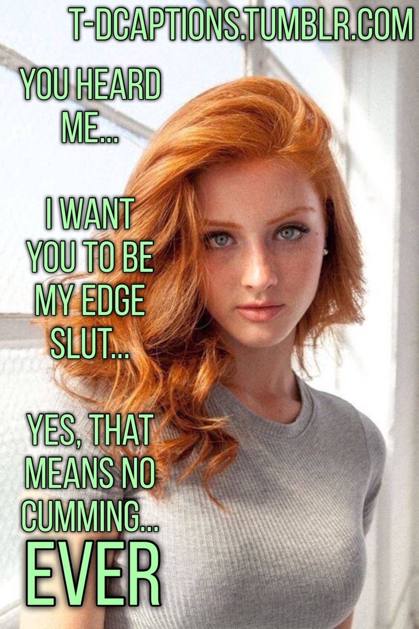 c15a8e79-2578-4f2a-b5a8-be82e059e7ef.jpg