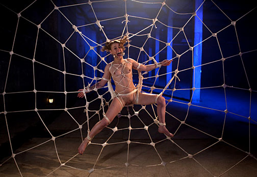sands-spiderweb.jpg