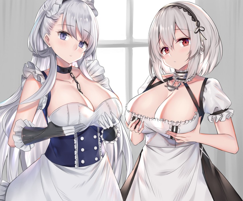 __belfast_and_sirius_azur_lane_drawn_by_kanikou__sample-d5e52bff6d67cdbf6c2d6689a1510be8.jpg