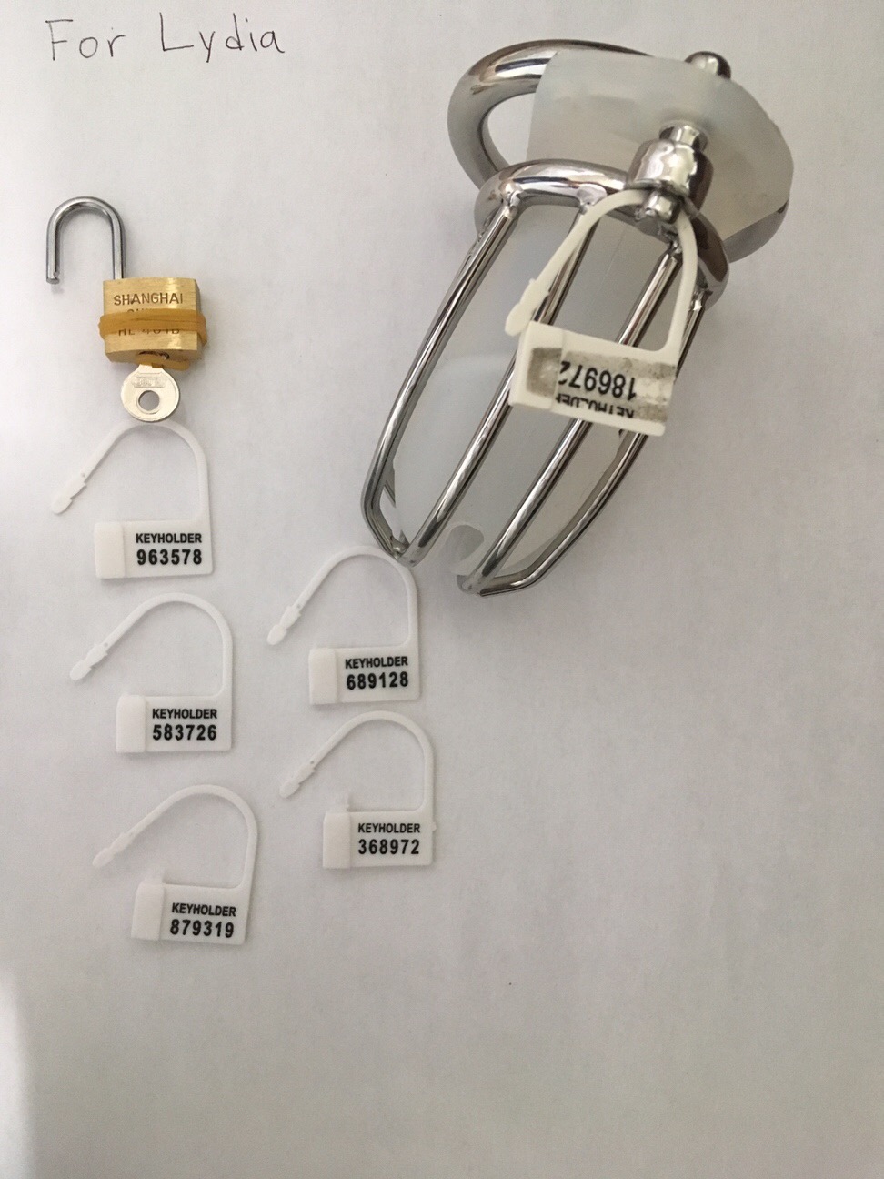 Chastity cage and plastic padlocks