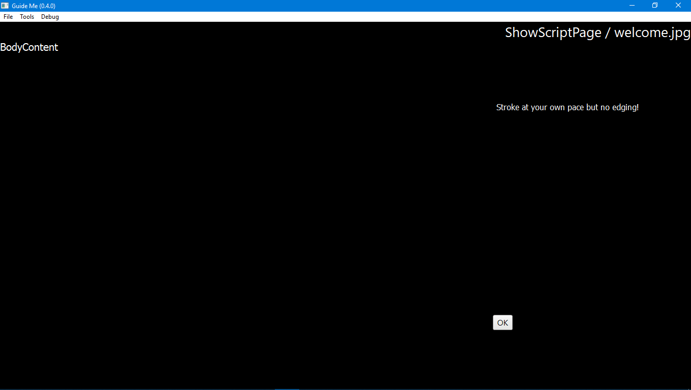 VideoBug.png