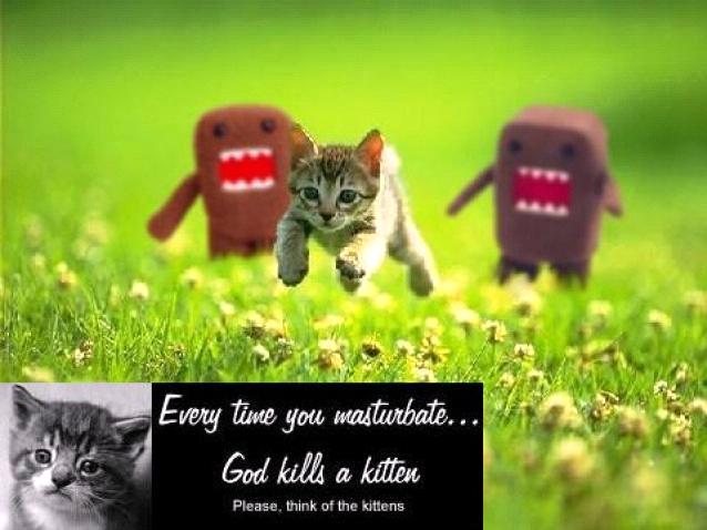 Godkillsakitten.jpg