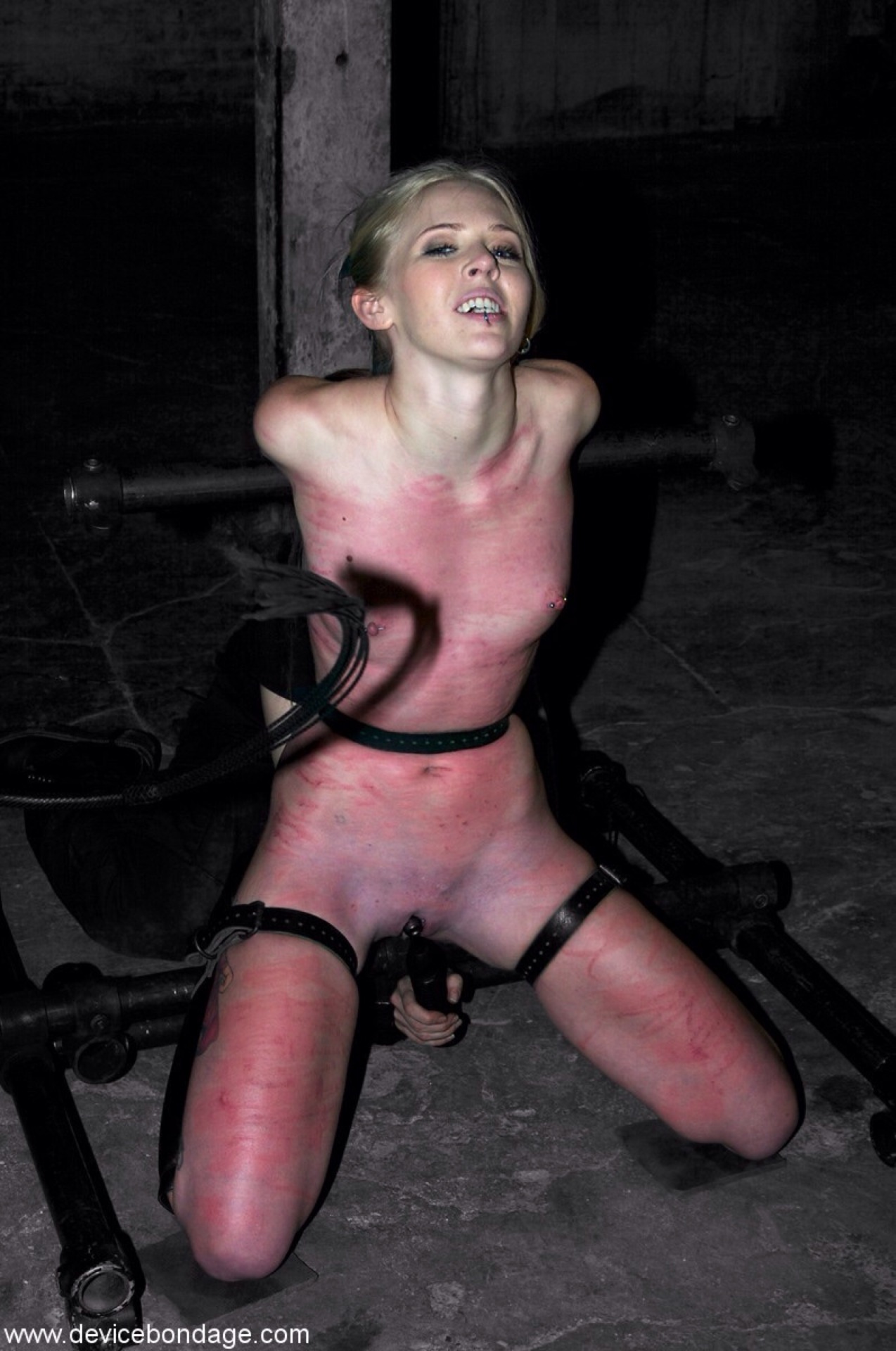 sarahjane_CflnzEDARP.jpg
