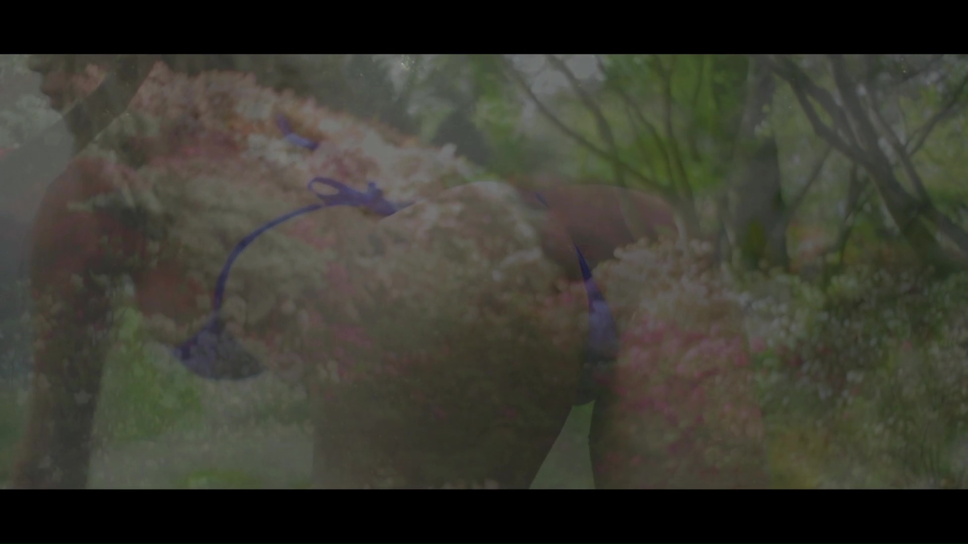 vlcsnap-00009.jpg
