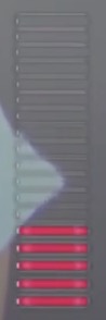 WechatIMG19.jpeg