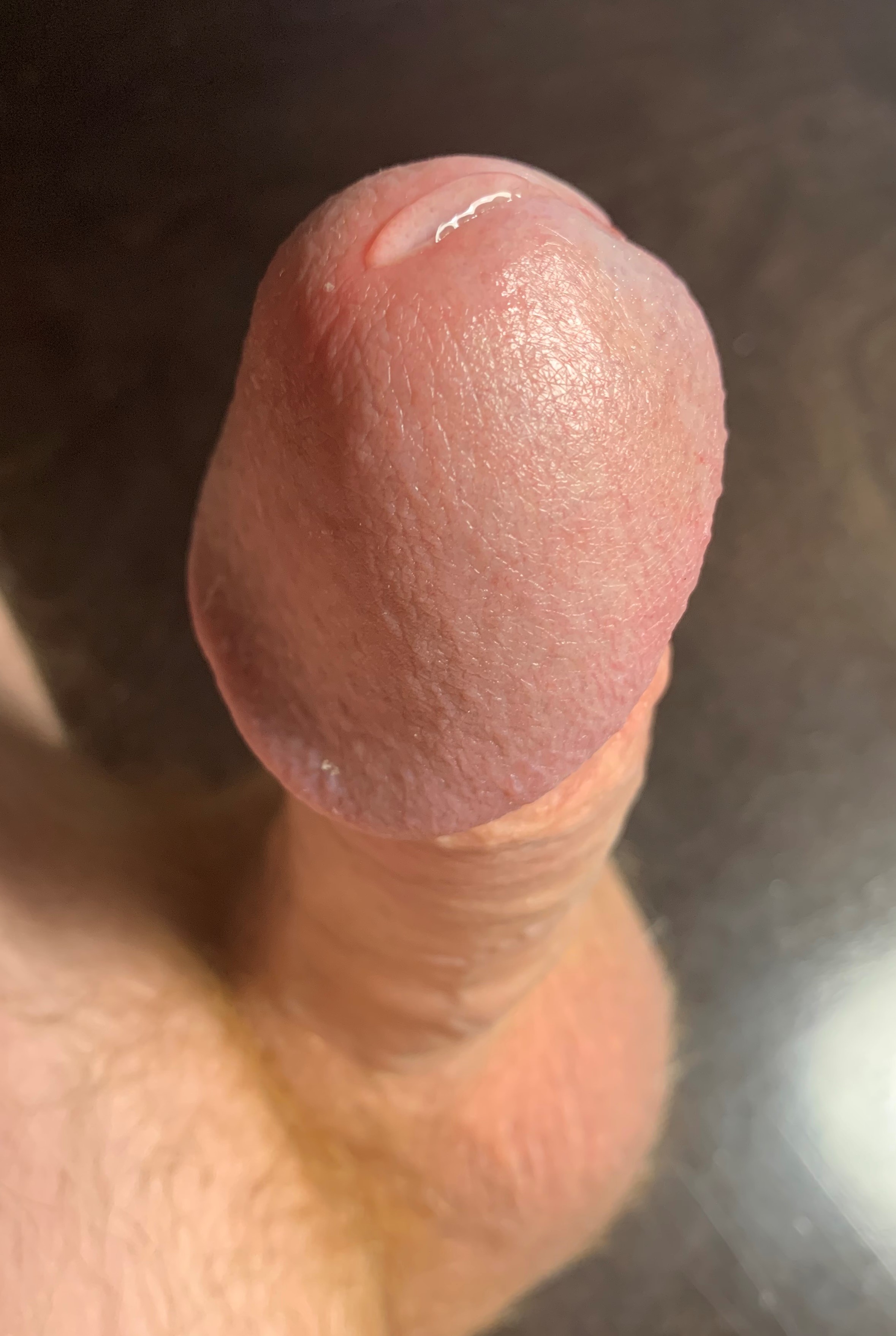 cock.jpg