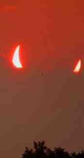 Devils Night.jpg
