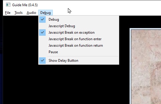 Debug settings.jpg