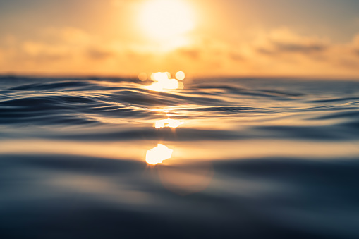59. Ocean.jpg