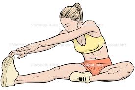Hamstring stretch one leg.jpg