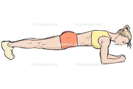 plank.jpg