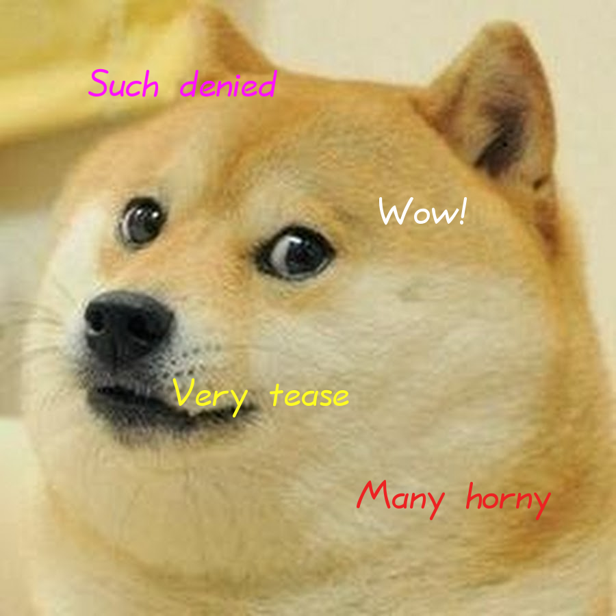 doge.png
