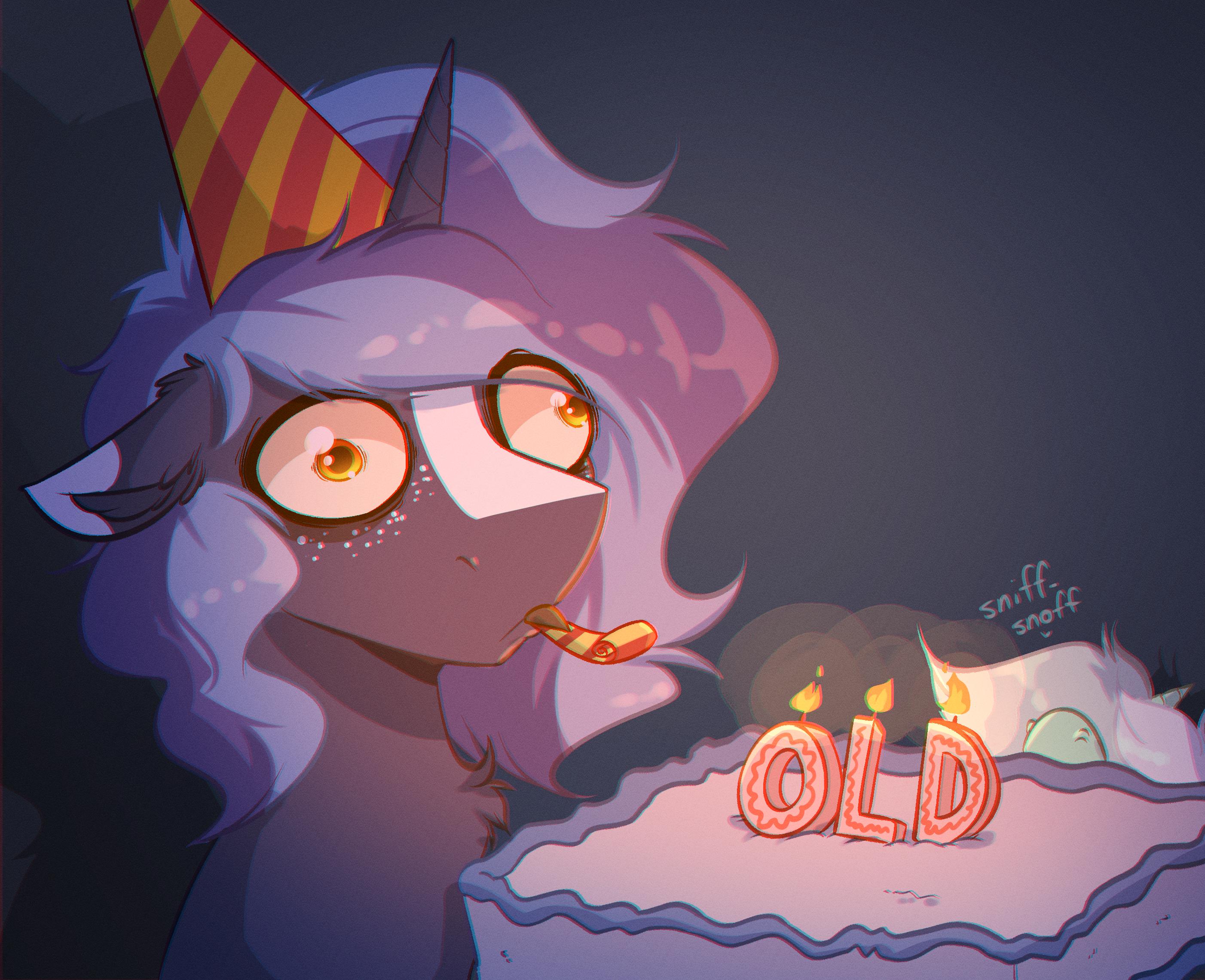 unicorn bd.jpg