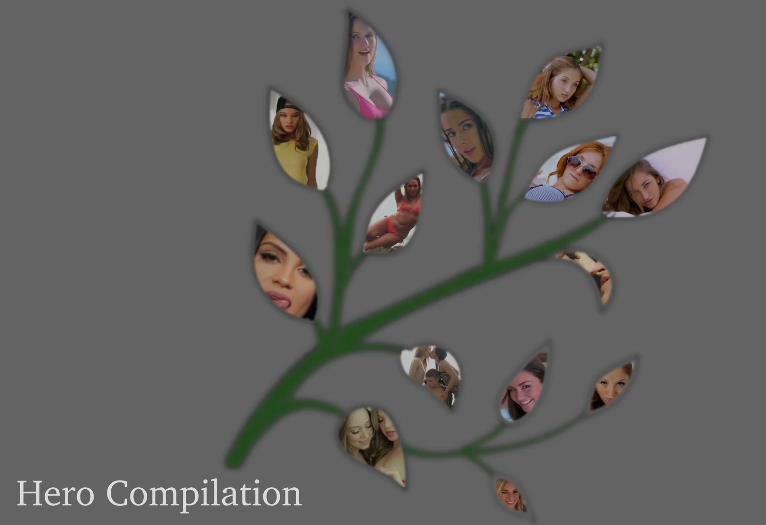 compilation.png
