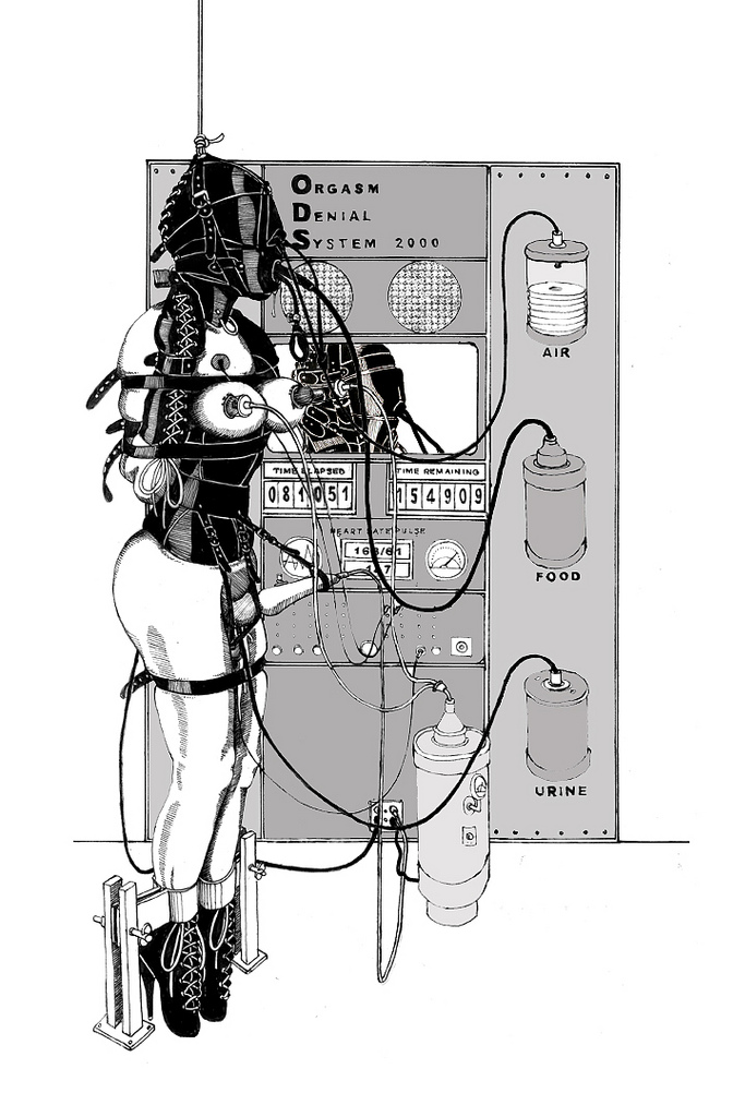 5401906494_b78f4cb05e_b.jpg