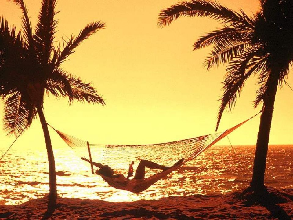 CaribbeanHammock.jpg