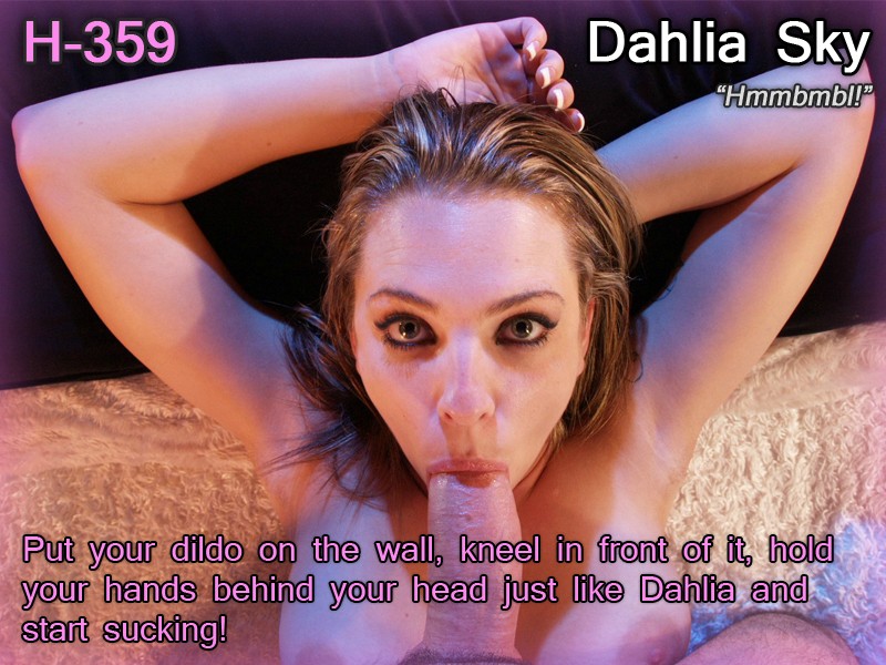h-359.jpg