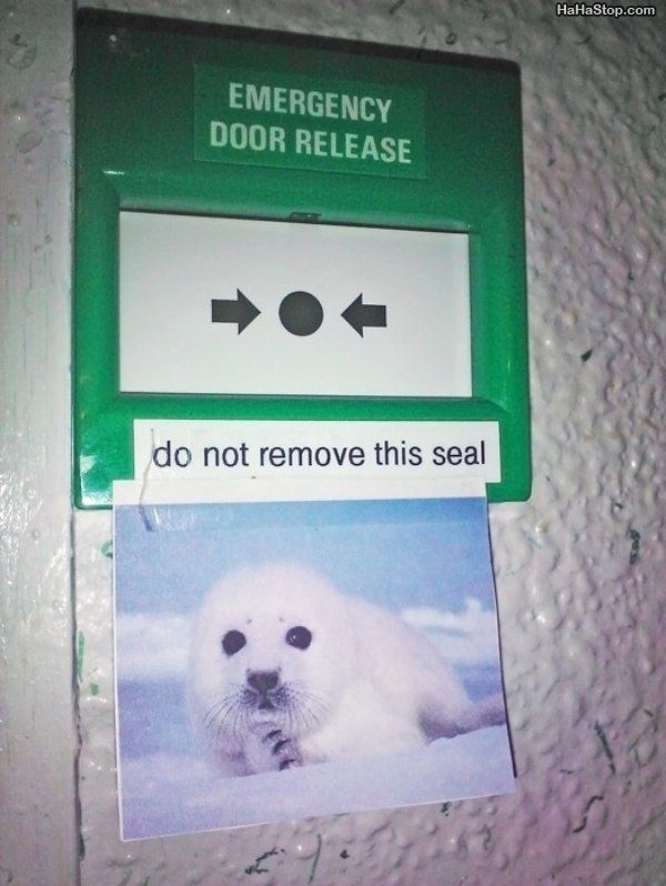 Emergency_Seal.jpg