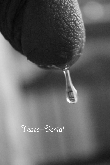 Tease+Denial9black%20(427x640).jpg